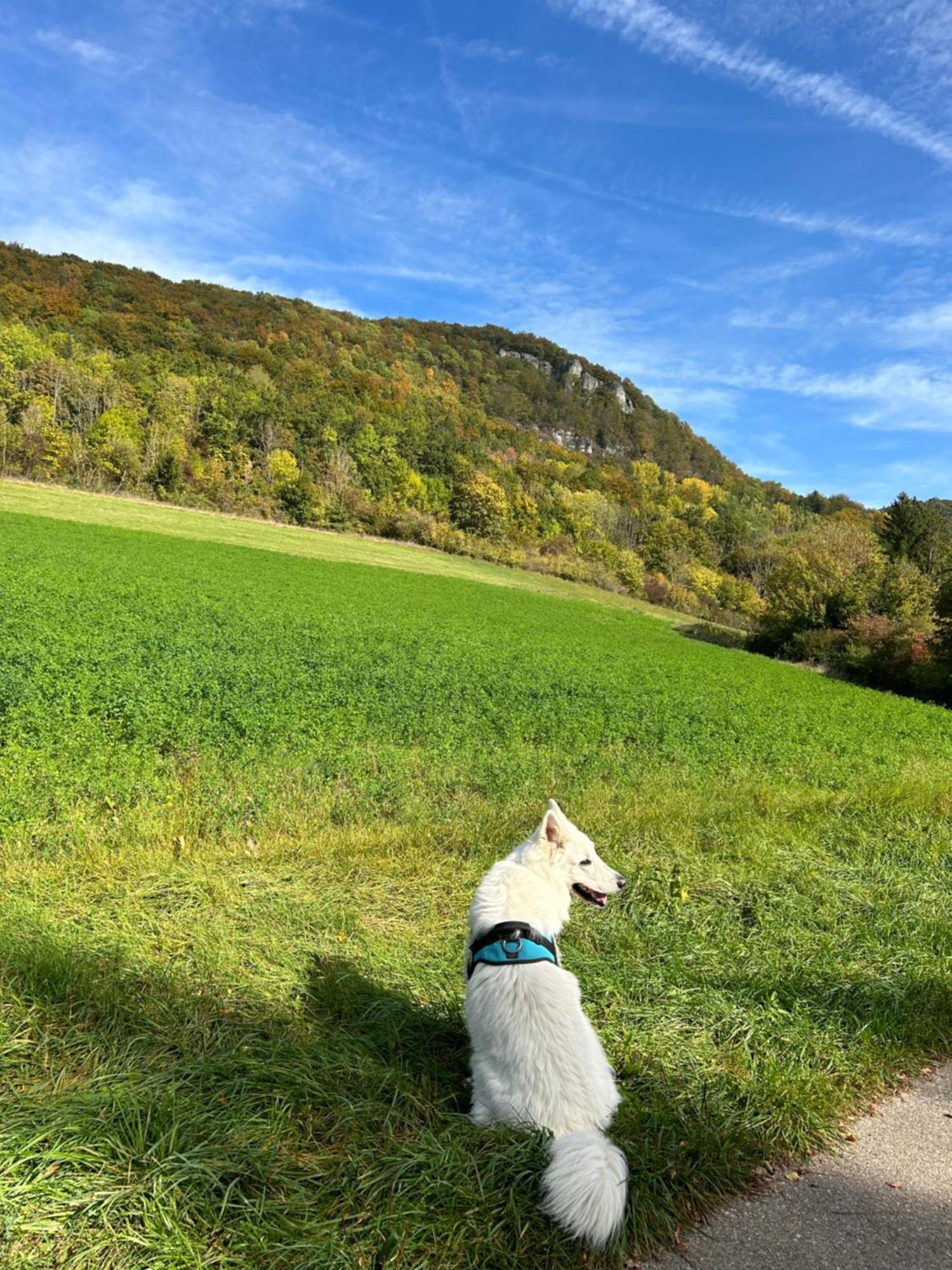 Laendliche Fewo Wildblume, 4 Km Zum Stausee Happurg Luaran gambar